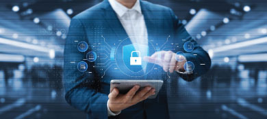 Fraud Detection Services.