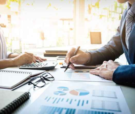 Internal Audit Services.